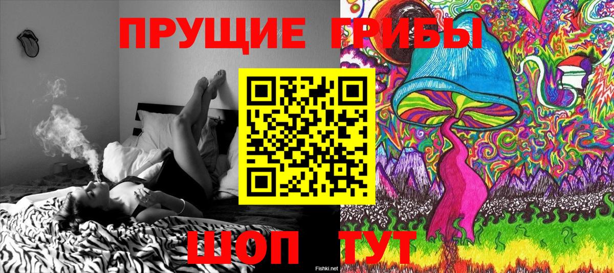Галлюциногенные грибы GOLDEN TEACHER  Вход с VPN  Энгельс  Псилоцибиновые грибы Magic Shrooms 