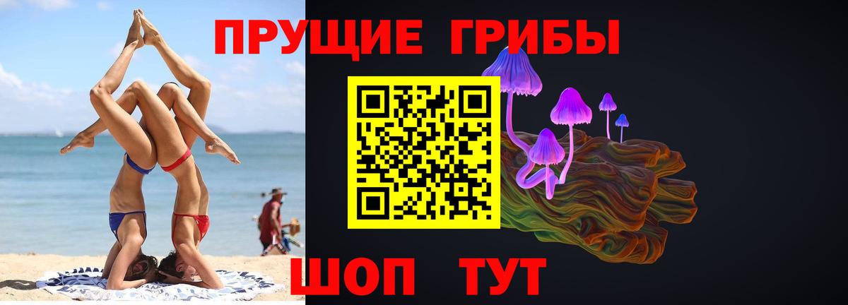 Галлюциногенные грибы Psilocybe Энгельс
